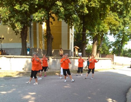 tai chi - Falunap Sajkpolnn 2015 Sajkpolna