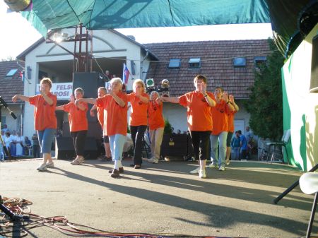 tai chi - Felszsolca vrosnap 2011