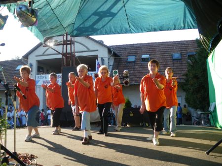 tai chi - Felszsolca vrosnap 2011