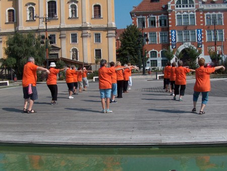 tai chi - Harmnia napja 2011 Miskolc