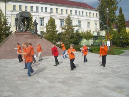 tai chi - Harmnia napja 2013 Miskolc