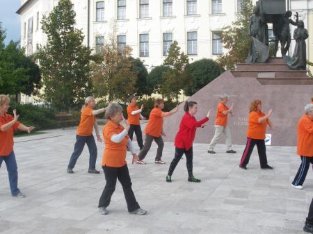 tai chi - Harmnia napja 2013 Miskolc