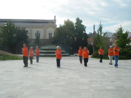 tai chi - Harmnia napja 2013 Miskolc