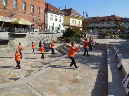 tai chi - Harmnia napja 2015 Miskolc - Szinva terasz