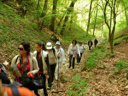 tai chi - kir�ndul�s