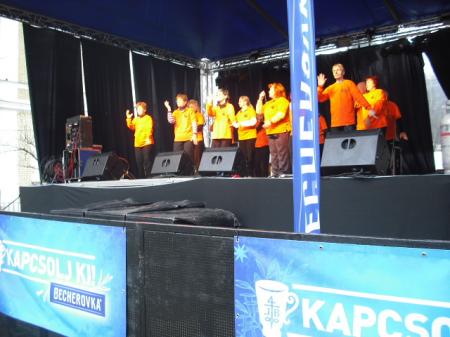 tai chi - Miskolci Kocsonya Farsang 2014 Miskolc