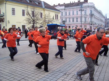 tai chi - Kocsonyafesztivl 2011 Miskolc