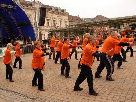 tai chi - Kocsonyafesztivl 2011 Miskolc