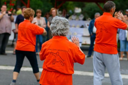 tai chi - Tanvnyit Kolor-party s srknyavat 2014 Kazincbarcika