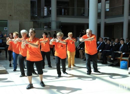 tai chi - Konfuciusz Intzet megnyitja 2013 Miskolc-Egyetemvros, Miskolci Egyetem by minap.hu