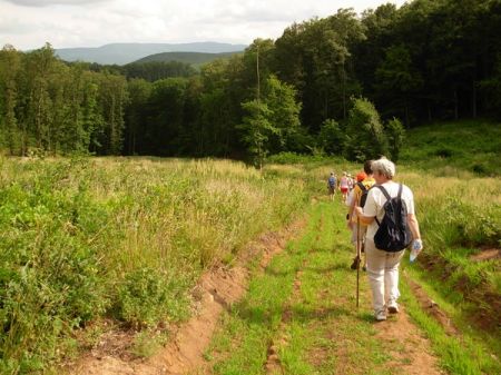 tai chi - l�zb�rci t�bor 2012
