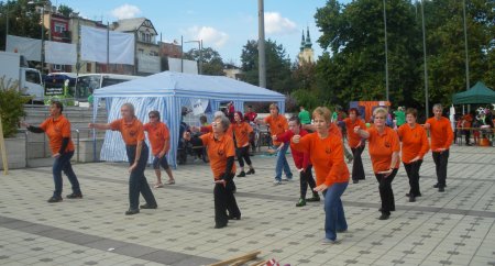 tai chi - Mobilits-ht 2013, Miskolc