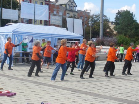 tai chi - Mobilits-ht 2013, Miskolc