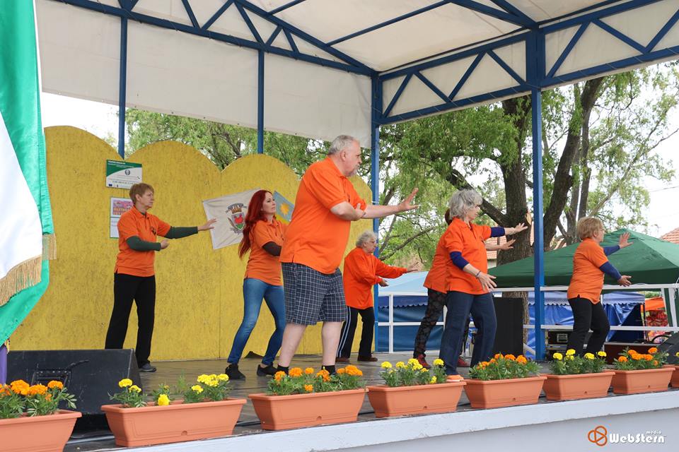 tai chi - Pnksdi Sokadalom 2015 Hejbba