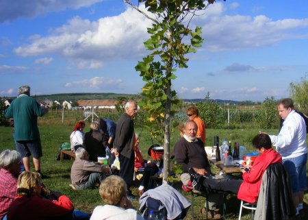 tai chi - sziksz�i sport- �s eg�szs�gnap Sziksz� 2013