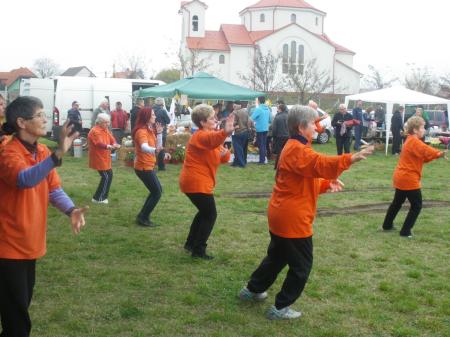 tai chi - Szirmai fzs 2013 Miskolc-Szirma