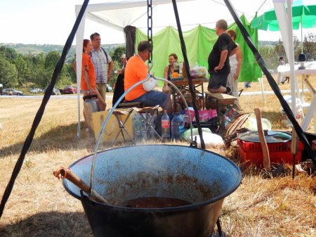 tai chi - Sz�rkemarha Fesztiv�l 2013 Hars�ny f�z�verseny