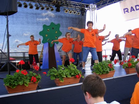 tai chi - II. Harsnyi Szrkemarha Fesztivl 2014 Harsny