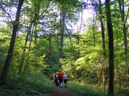 tai chi - varb�i t�bor 2014