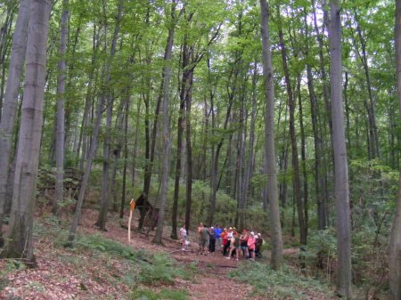 tai chi - varb�i t�bor 2014