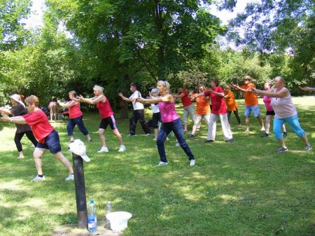 tai chi - gyakorl�s a szabadban Varb� 2014